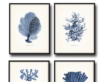 Vintage Indigo Blue Sea Coral Print Set No. 2, Giclee, Art Print, Nautical Art, Coastal Art, Vintage Coral Prints, Beach House Art