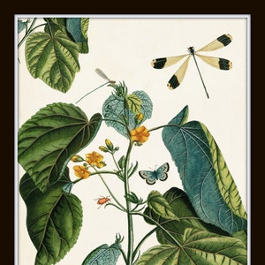 Nature Study Collage No. 23, Botanical Print Set, Art, Giclee, Prints, Vintage Botanical, Butterfly Print, Collage, Illustration, Botanical image 3