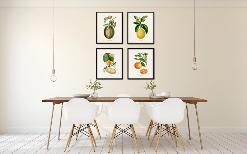 French Botanical Print Set No. 12, Giclee, Prints, Kitchen Art, Antique Botanicals, Fruit Prints, Wall Art, Lemon, Orange, Citrus Prints image 5