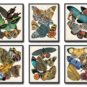 Butterfly Print Set No. 2, Art Nouveau Print, Vintage Butterfly Prints, Giclee, Print Set, Wall Art, Home Decor, Art Deco