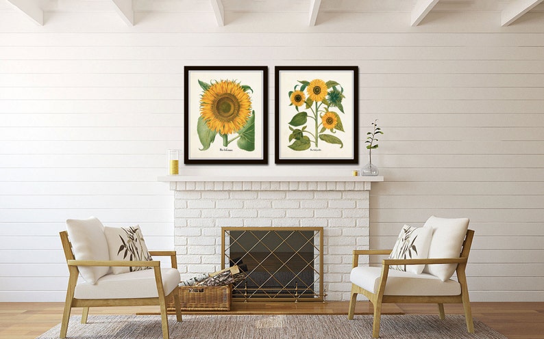 Puede incluir: Dos estampados bot&aacute;nicos enmarcados de girasoles, uno con un solo girasol y el otro con un grupo de girasoles, colgados sobre una chimenea de ladrillo blanco en una sala de estar.