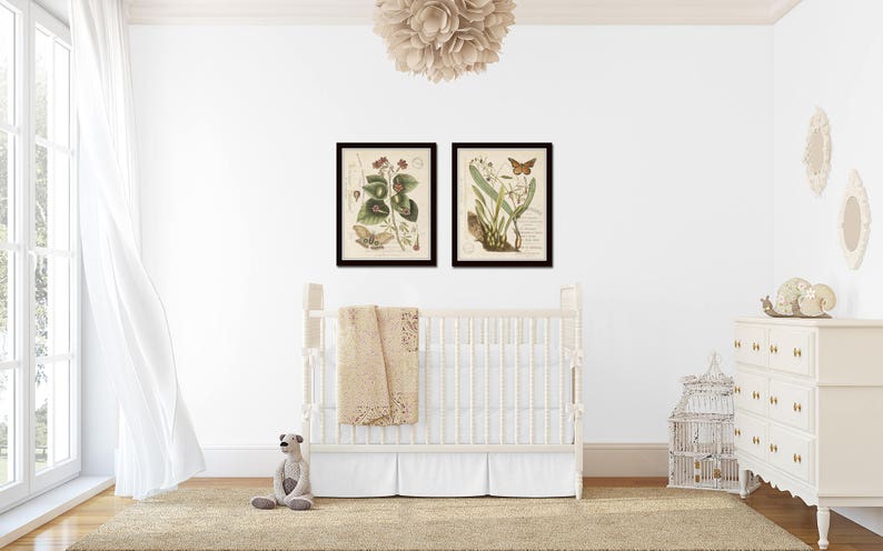 Vintage Butterfly and Botanical Collage Print Set No. 2, Giclee ...