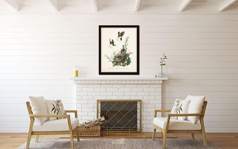 Vintage Audubon Yellow Chat, Vintage Bird Print, Giclee, Art Prints, Bird Art, Bird Nest, Audubon Bird Prints, Home Decor, Wall Art image 4