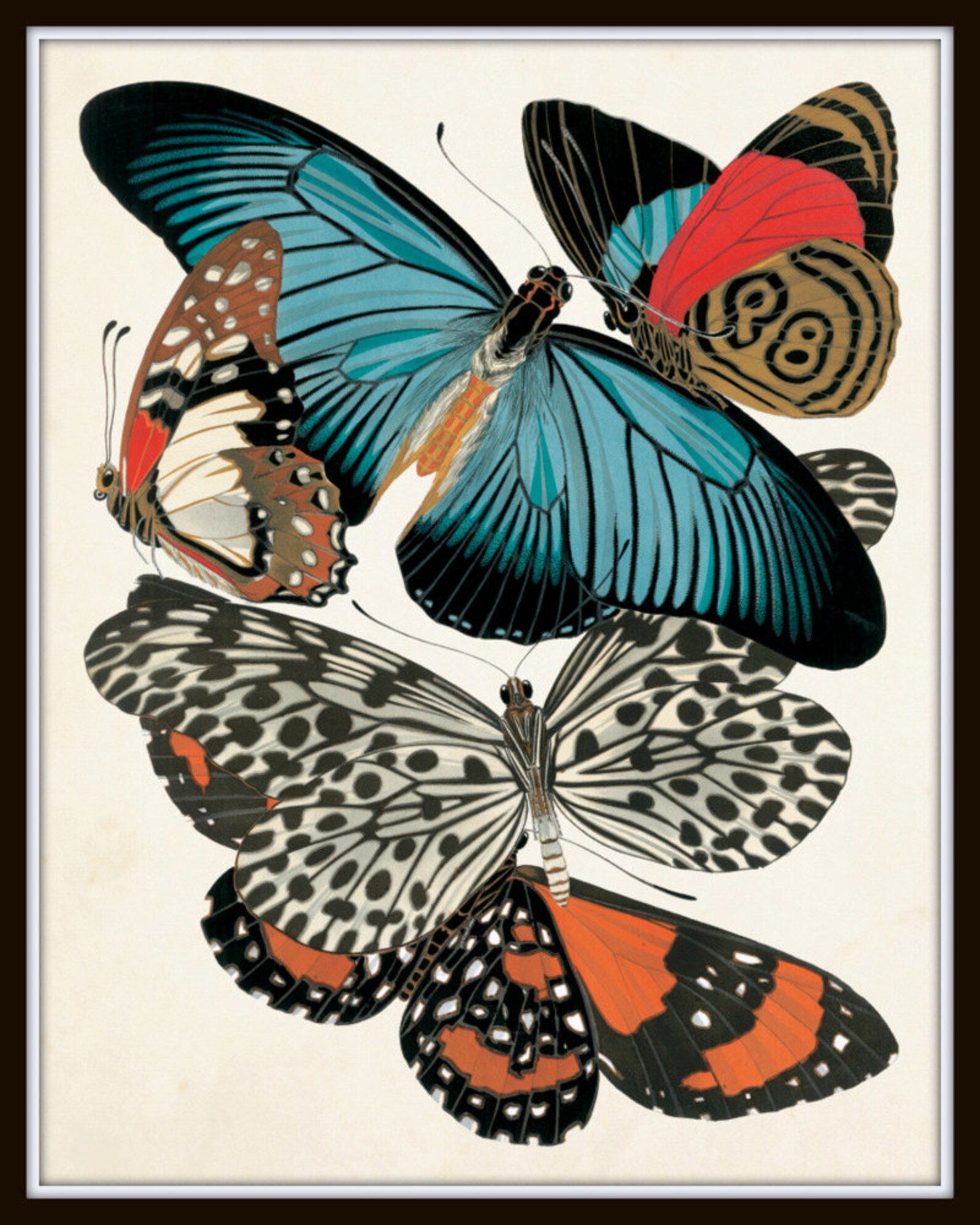 Butterfly Print Set No. 2 Art Nouveau Print Seguy Etsy