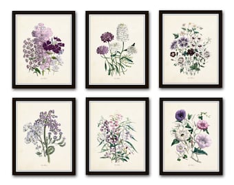 Les Fleurs Print Set No. 7, Botanical Print, Giclee, Art Print, Wildflower Art Prints, Wall Art, Vintage Botanical Prints, Vintage Art