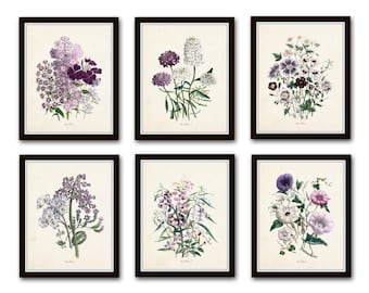 Les Fleurs Print Set No. 7, Botanical Print, Giclee, Art Print, Botanical Illustration, Wall Art, Botanical Print Set, French, Cottage Decor