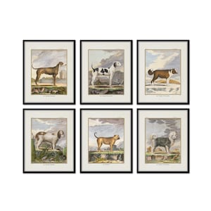 Vintage French Dogs Print Set No. 4, Vintage Dog Art, Antique Dog Art, Wall Art, Home Decor, Nursery Art, French Animal Art, Grandmillennial