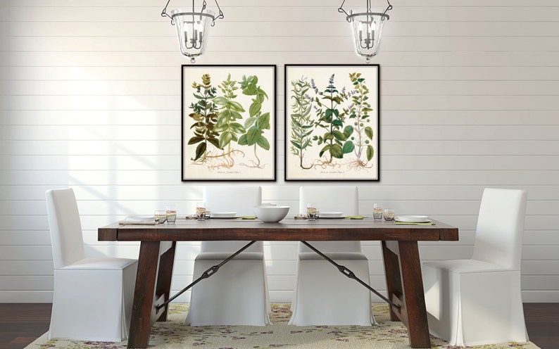Giclee Herb Print Botanical Print Art Print Herbier Antique Botanical Wall Art Herbs de Menthol Print Set Kitchen Art Illustration