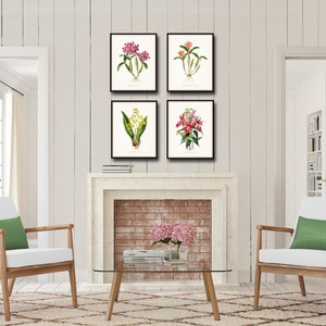 Tropical Orchids Botanical Print Set No. 2, Giclee, Arte, Impresión, Decoración de playa, Arte costero, Estampados de flores tropicales, Estampados de orquídeas, Ilustración imagen 3