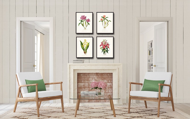 Tropical Orchids Botanical Print Set No. 2, Giclee, Arte, Impresión, Decoración de playa, Arte costero, Estampados de flores tropicales, Estampados de orquídeas, Ilustración imagen 3