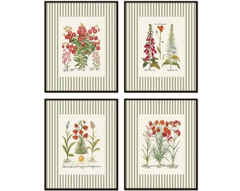 May include: Set of four botanical prints featuring different flowers in a vintage style. Each print has a white background with green stripes and a black frame. The prints feature the following flowers: "Dianthus Caryophyllus", "Digitalis Purpurea", "Lychnis Chalcedonica", and "Papaver Somniferum".