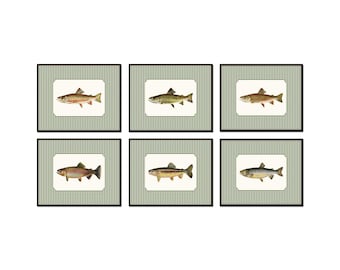 Vintage Trout Collage with Green Gingham, Angler Art, Fishing Art, Vintage Trout Art, Fly Fishing Art, Cabin Lake House, Vintage Fish Art