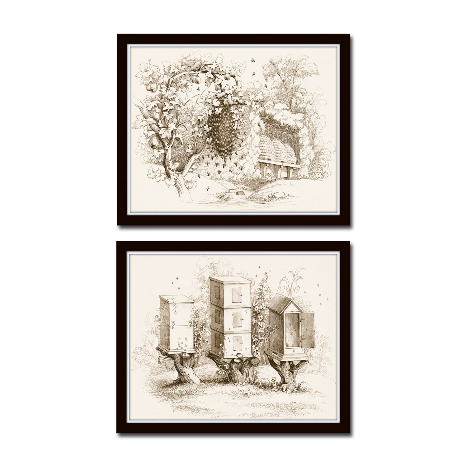 Vintage Bee Hives Print Set No. 5, Sepia Illustration, Bee Bees Bee H…