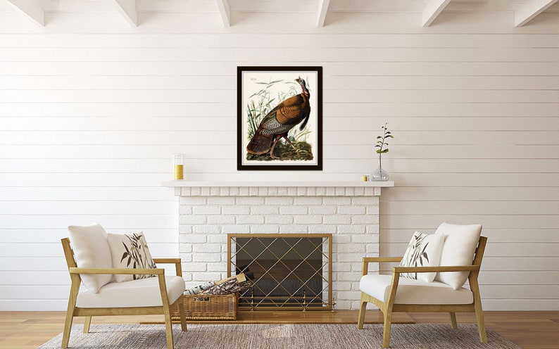 May include: A framed print of a detailed illustration of a wild turkey, with brown, gray, and white feathers, standing in a grassy field. The print is in a black frame and is hanging on a white brick wall above a fireplace.