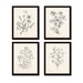 Vintage Botanical Sketch Prints Set No. 2, Botanical Prints, Giclee, Art Print, Vintage  Botanicals, Illustration, Flower Prints, Flower Art 