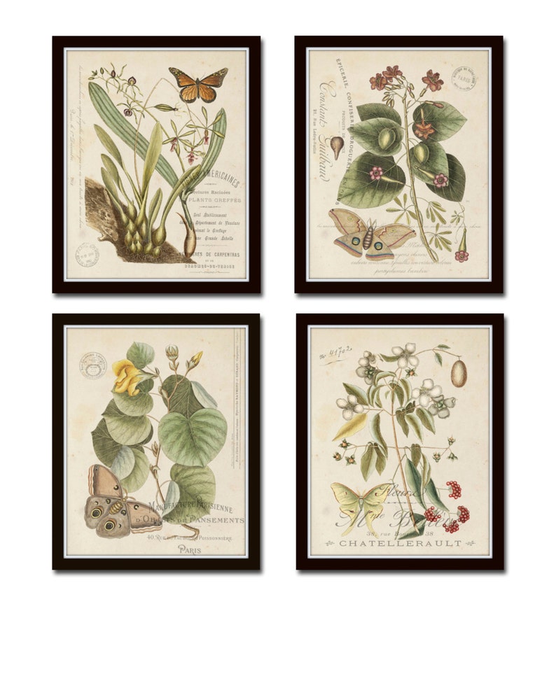 Vintage Butterfly and Botanical Collage Print Set No.1, Giclee, Prints, Botanical Prints, Wall Art, Prints, Vintage Butterfly Prints, Art image 1