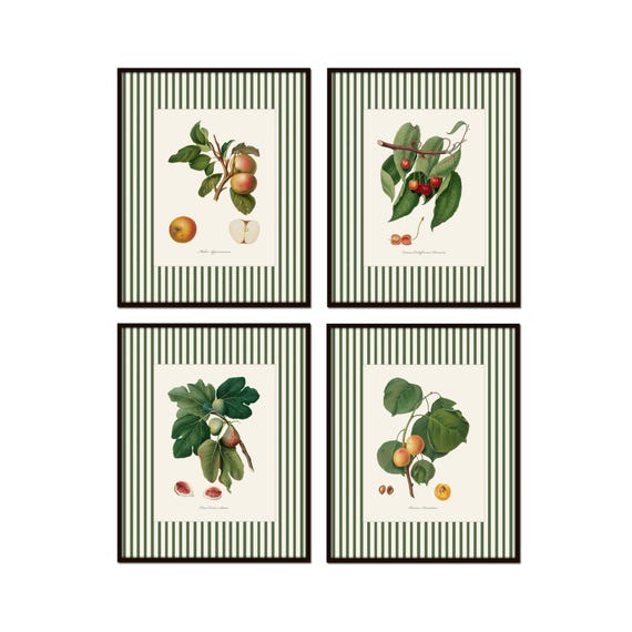 Vintage Fruit with Green Striped Border, Vintage Fruit Prints, Giclee, Botanical Prints, Kitchen Art, Dining Room Art, English Cottage Art