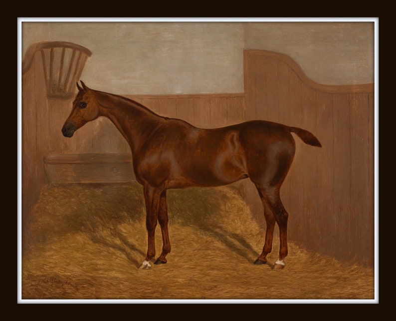 Vintage Horse Portraits, Horse Paintings Reproduction, Giclee, Print, Wall Art, Horse Prints, Horse Prints, Equestrian Art Bild 4
