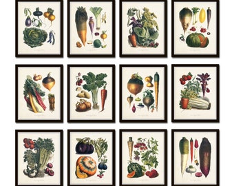 French Vegetable Print, Giclee, Wall Art, Art Prints, Botanical Print, Print Set, Vegetable Print, Illustration, French Country Decor,