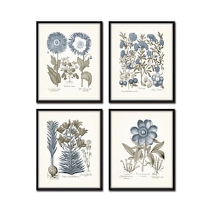 Vintage Sepia and Blue Print Set No. 10, Botanical Print Sets, Vintage Botanical, Blue Flowers, Chinoiserie Art Decor, Antique Botanical Art