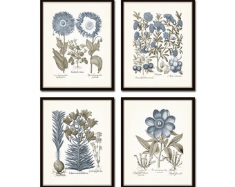 Vintage Sepia and Blue Print Set No. 10, Botanical Print Sets, Vintage Botanical, Blue Flowers, Chinoiserie Art Decor, Antique Botanical Art