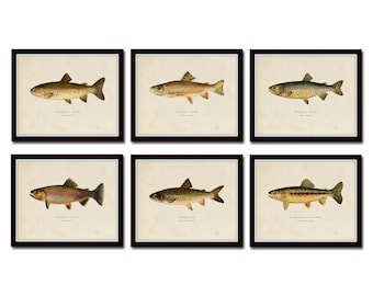 Vintage Trout Print Set No. 2, Vintage Trout Art, Giclee, Art, Fish Art, Cabin Art, Fish Print, Trout, Fly Fishing Art, Angler Art