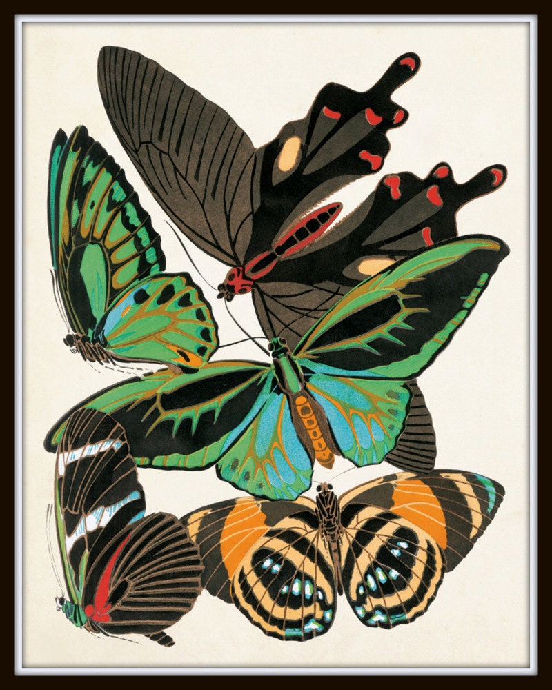 Butterfly Print Set No. 2 Art Nouveau Print Seguy Etsy