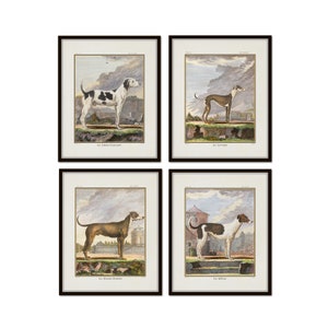 Vintage French Dogs Print Set No. 5, Vintage Dog Prints, Giclee, French Animal Prints, Home Decor, Wall Art, Antique Dog Art