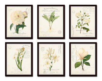 White Botanical Collage Print Set No. 4, Botanical Print Set, Wall Art, Giclee, Art Print, Botanical Print, White Flower Print, French Style