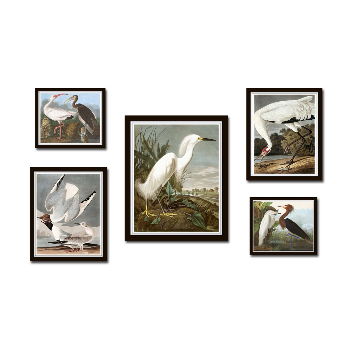 Vintage Audubon Birds Gallery Wall Set No. 3 Coastal Art Sea Etsy
