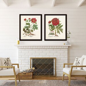 May include: Two framed botanical prints of red peonies with green leaves and stems, displayed above a white brick fireplace with a black metal grate.