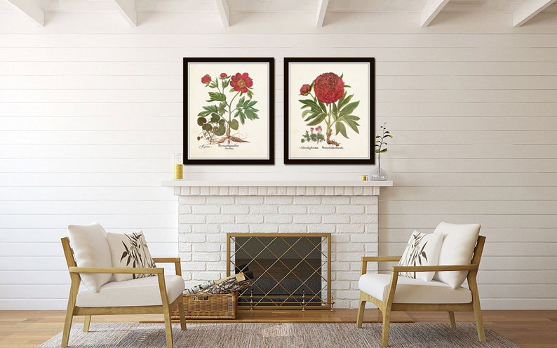 May include: Two framed botanical prints of red peonies with green leaves and stems, displayed above a white brick fireplace with a black metal grate.