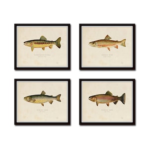 Vintage Trout Print Set No. 3, Natural History Art, Giclee, Art, Fish Art, Cabin Art, Fish Print, Trout, Fly Fishing Art, Angler Art, Trout
