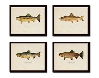 Vintage Trout Print Set No. 3, Natural History Art, Giclee, Art, Print Set, Cabin Art, Fish Print, Trout, Fly Fishing Art, Angler Art, Trout
