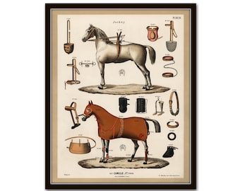 Vintage French Horse Tack No. 1, Vintage Horse Print, French Horse Art, Sportsman Art, Home Decor, Wall Art