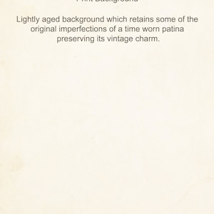 May include: A vintage-style background with a slightly aged, off-white color. The background has a subtle texture and a few faint imperfections, giving it a timeworn patina.