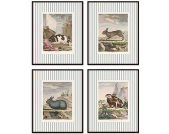 Vintage French Rabbit Prints with Striped Border, Rabbit Art, Nursery Art Decor, French Decor, Vintage Art, Girls Room Art, Boys Room Art