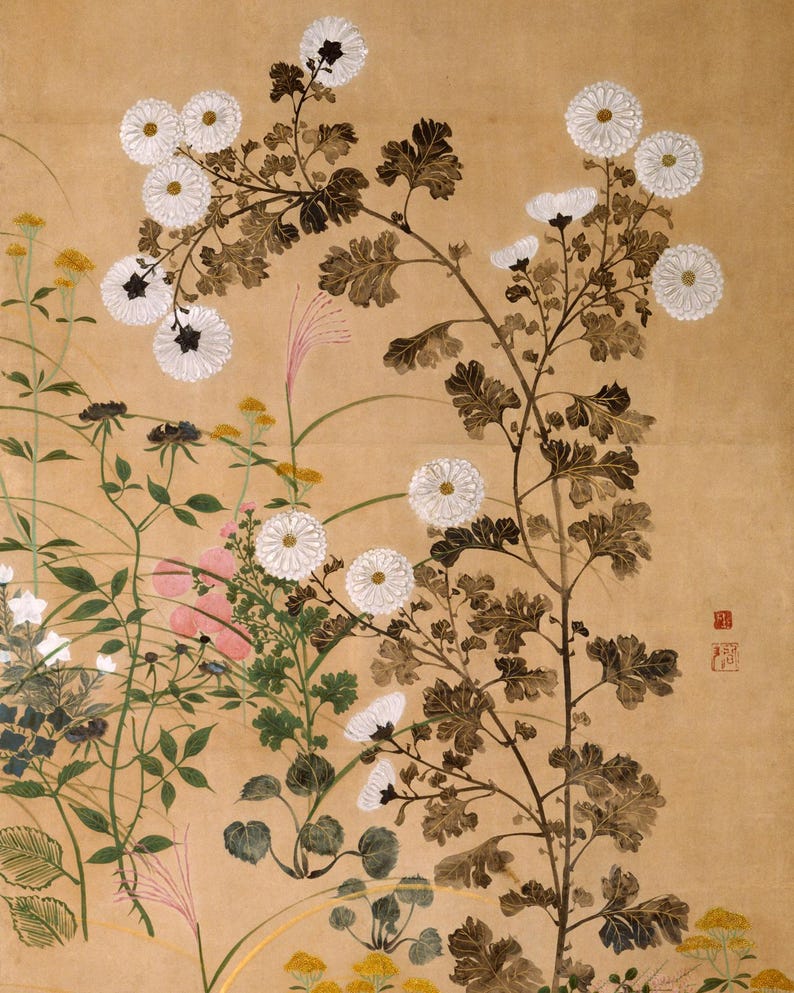 Pode incluir: Uma ilustra&ccedil;&atilde;o bot&acirc;nica art&iacute;stica com flores de cris&acirc;ntemo brancas com centros escuros e folhagem marrom. A obra de arte inclui v&aacute;rias outras plantas e flores em tons de verde, amarelo e rosa sobre um fundo bege.