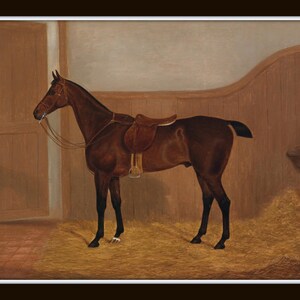 Vintage Horse Portraits, Horse Paintings Reproduction, Giclee, Print, Wall Art, Horse Prints, Horse Prints, Equestrian Art Bild 3