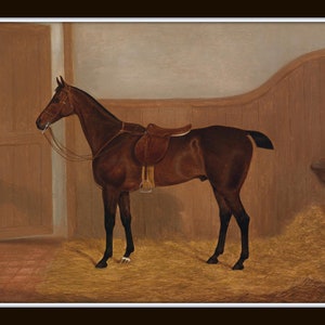 May include: A brown horse with a saddle and bridle stands in a stable with straw on the floor.