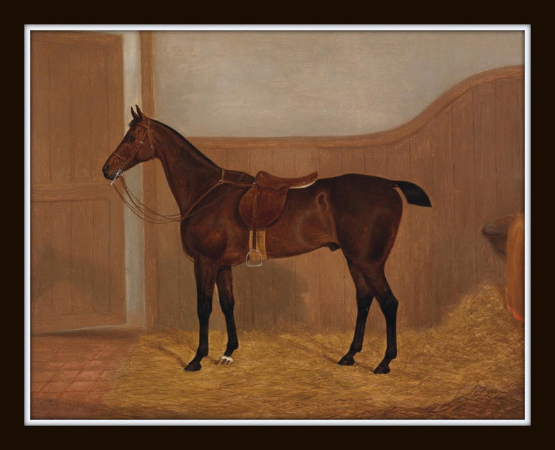 Vintage Horse Portraits, Horse Paintings Reproduction, Giclee, Print, Wall Art, Horse Prints, Horse Prints, Equestrian Art Bild 3