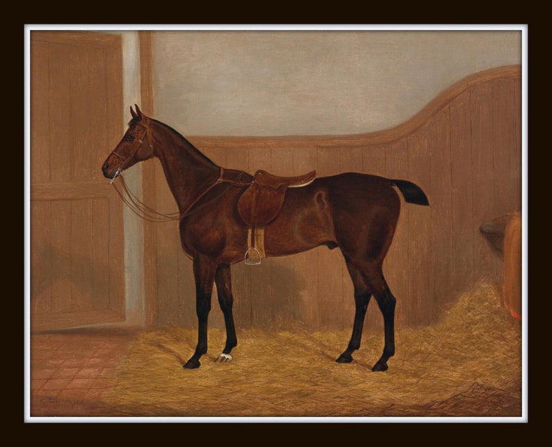 May include: A brown horse with a saddle and bridle stands in a stable with straw on the floor.