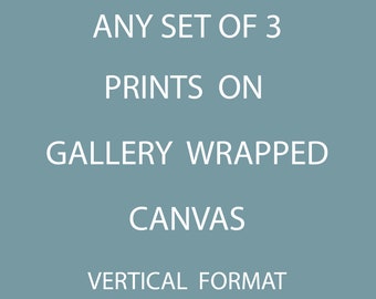 Any Set of 3 Prints from the Shop on Gallery Wrapped Canvas, Ready to Hang