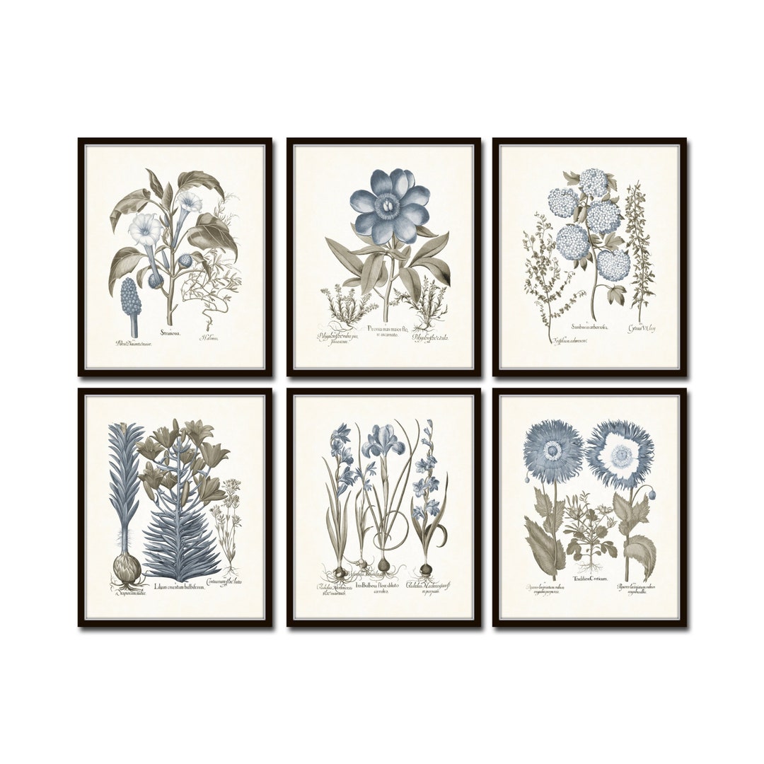 Vintage Sepia and Blue Print Set No. 6 Botanical Print Sets - Etsy