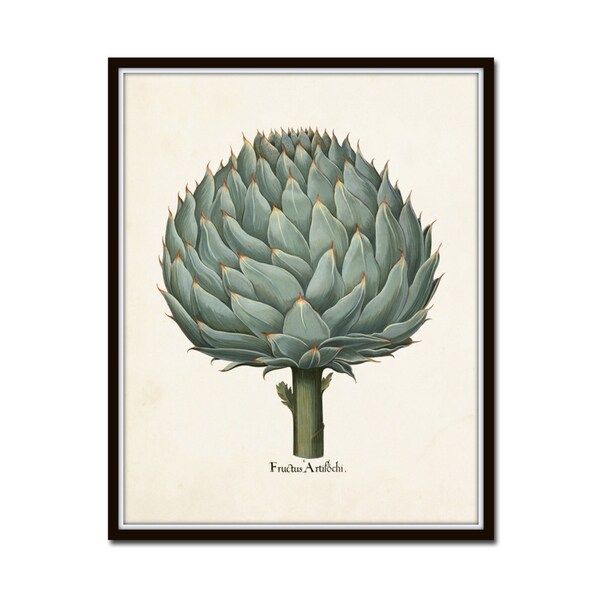 Antique Artichoke Print,  Giclee, Wall Art, Kitchen Art, Home Decor, Art Print, Botanical Print, Vegetable Print,Illustration, Cottage Decor