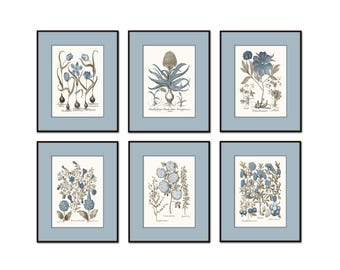 Juego botánico vintage en tonos sepia y azul con borde azul n.° 20, juego de 6 láminas, impresión giclée sobre arte botánico azul.