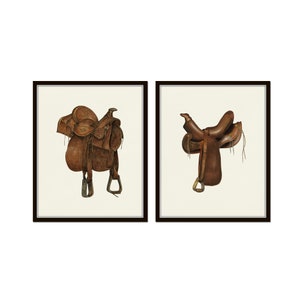 Pode incluir: Duas ilustrações emolduradas de selins de couro castanho. Os selins são representados em um estilo realista com costuras e franjas detalhadas.