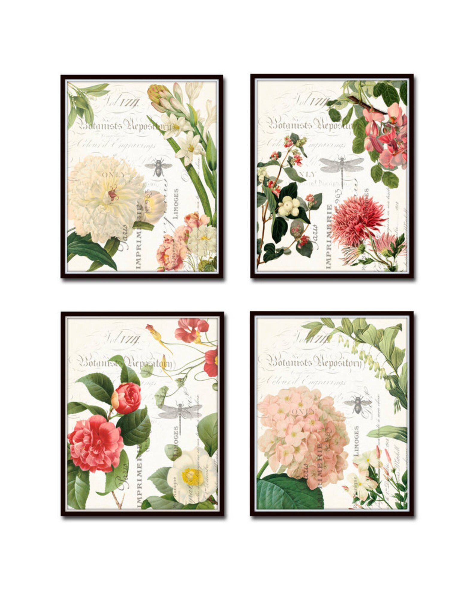 Spring Study French Botanical Collage Print Set, Antique Floral Giclee ...