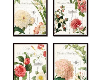 Spring Study French Botanical Collage Print Set, Antique Floral Giclee Art