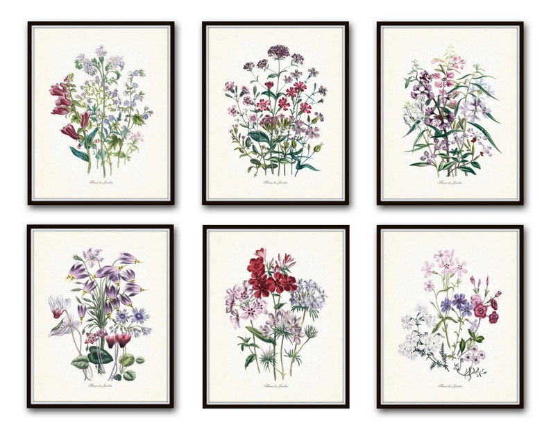 Fleurs de Jardin Print Set No. 5, Botanical Prints, Giclee, Art Prints, Antique Botanical Prints, Botanical Print Set, Wall Art,Illustration image 1